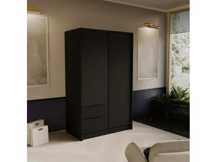 DREHTÜRENSCHRANK Niko 100/51/200 cm schwarz