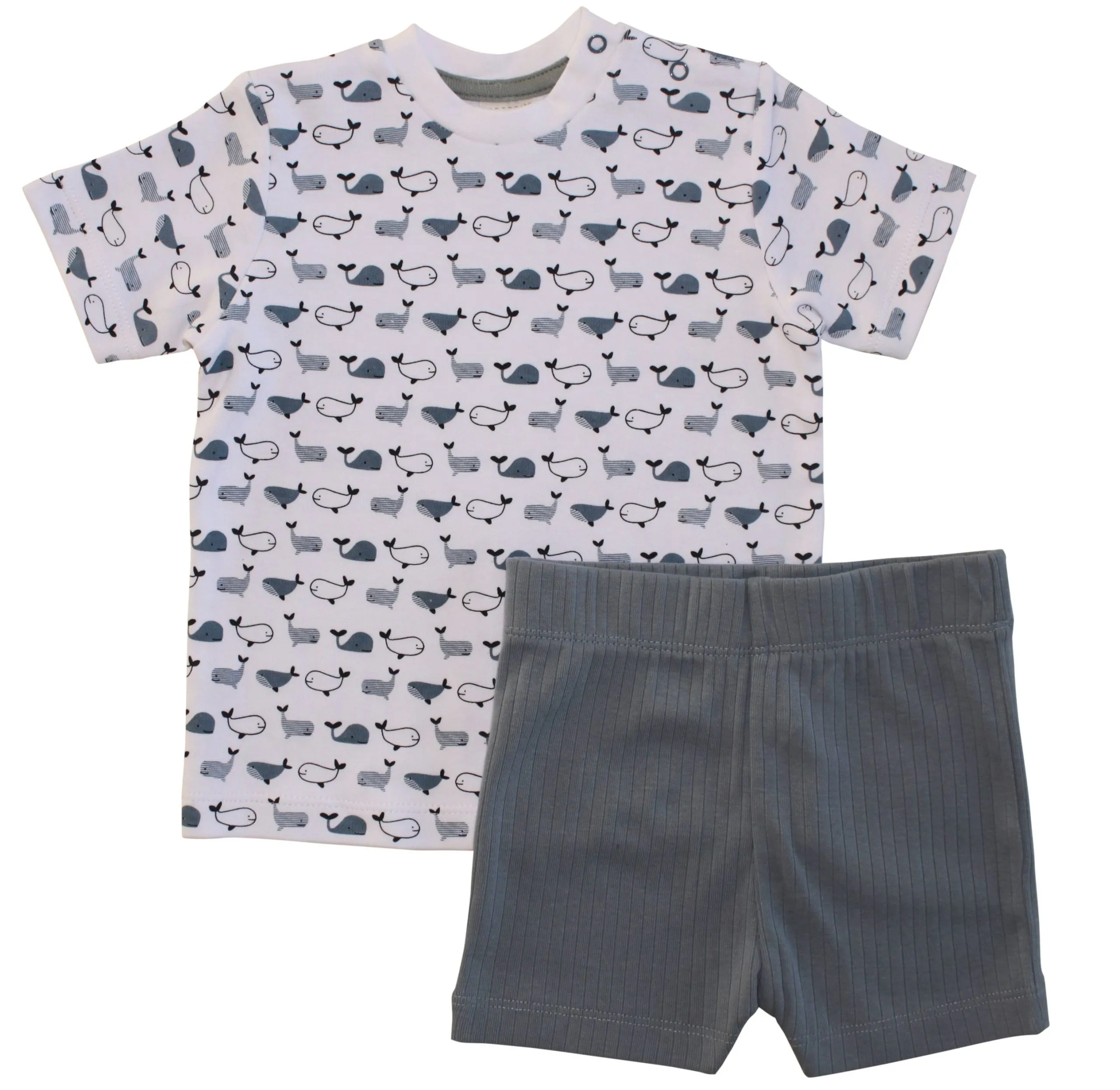 Shorty Set whale of time 140847