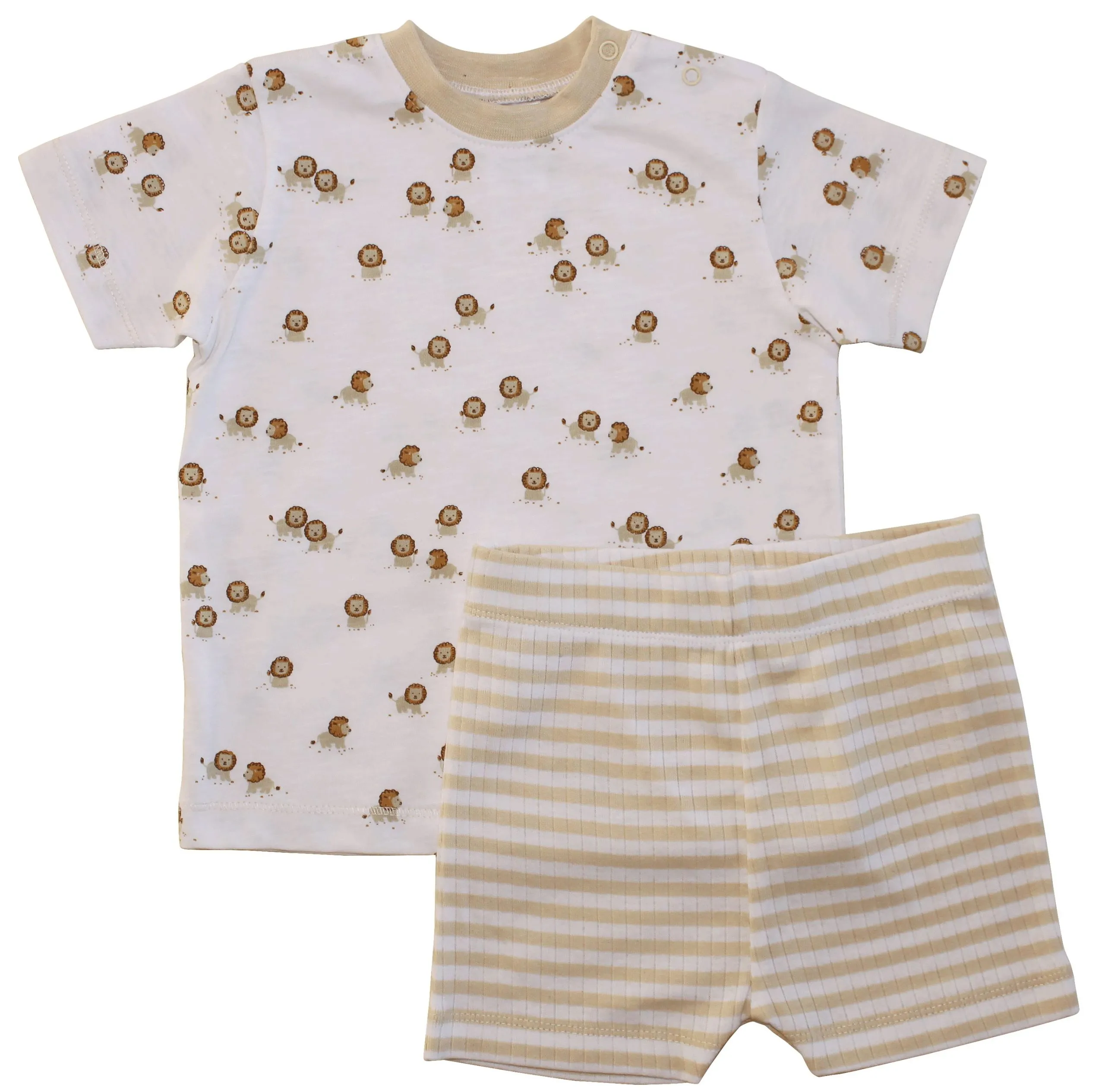Shorty Set little lion 141510