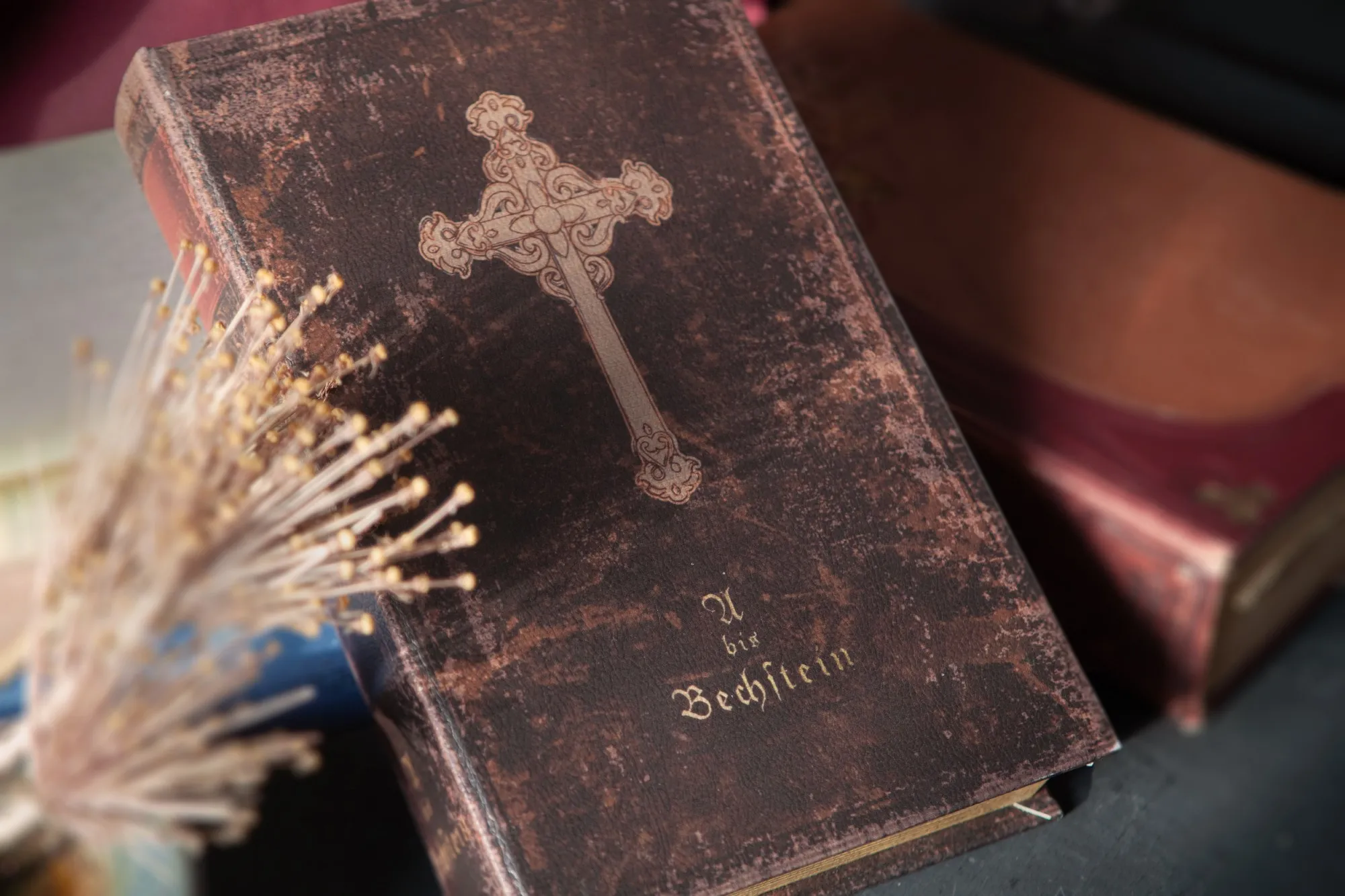 Buchhülle 'Bechstein' mit Schließfach, T 5 cm, B 17 cm, H 26 cm