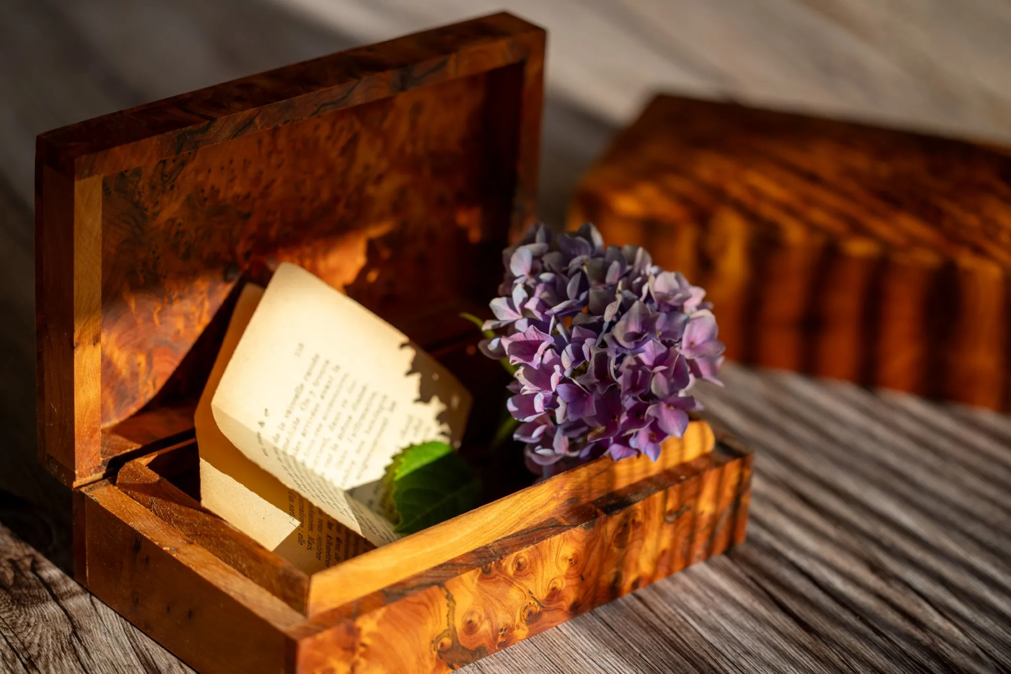 Thuja Box, B 20 cm, L 12 cm, H 6 cm