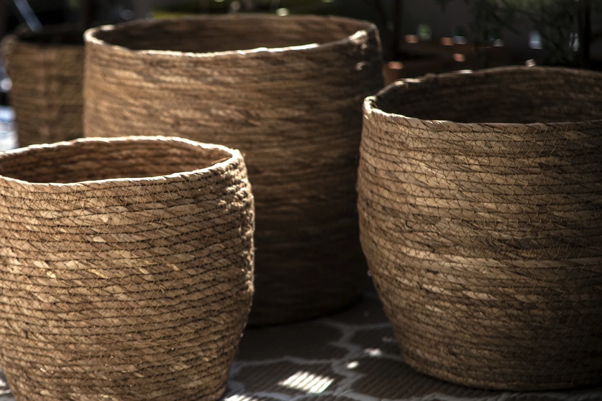3er-Set Körbe 'Tessere' aus Seegras