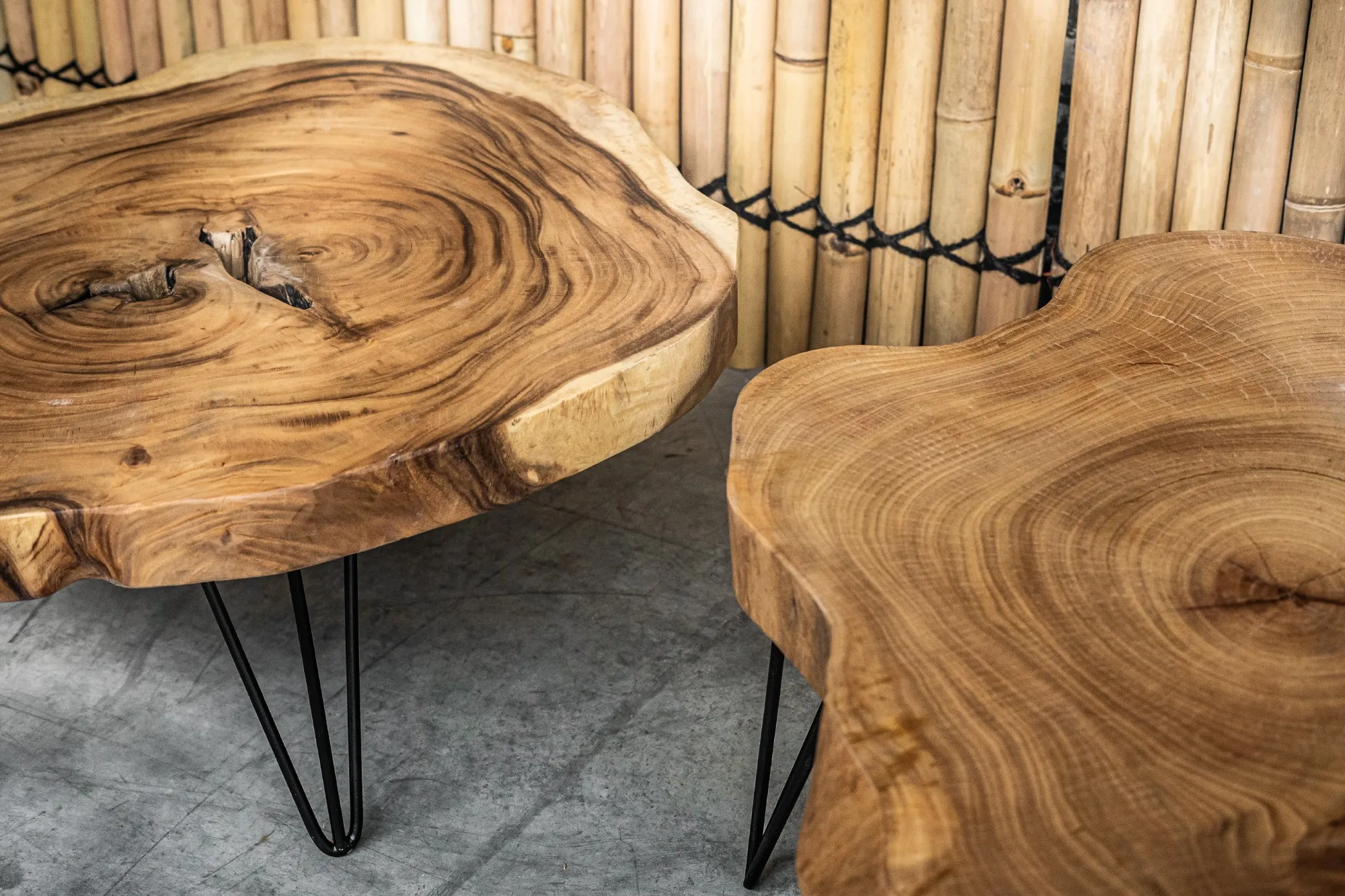 Baumscheiben-Couchtisch Akazie, Ø 80-100 cm, H 45 cm