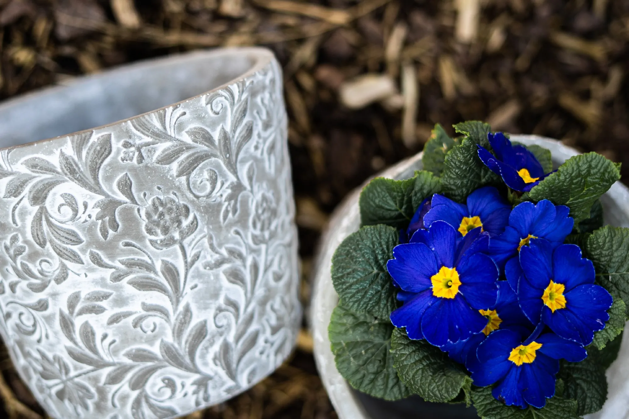 Zementtopf 'Prairie fleur', grau-weiß, Ø 19 cm, H 15,5 cm