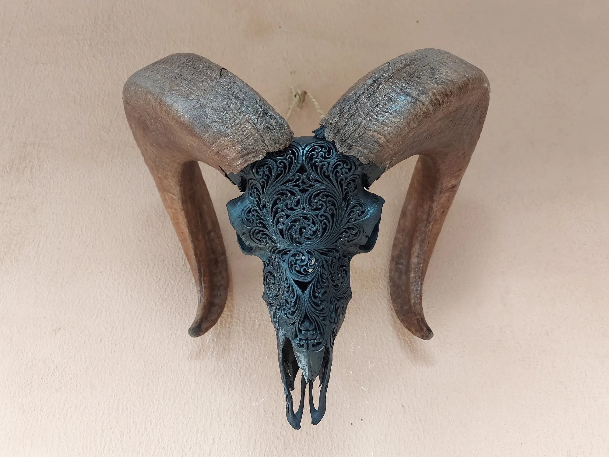 Widderschädel 'Ram', schwarz, B 60 cm, H 40 cm, L 30 cm