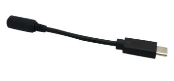 BrightSign CBL-USBC-AUDIO USB-C Auf 3,5mm Audio