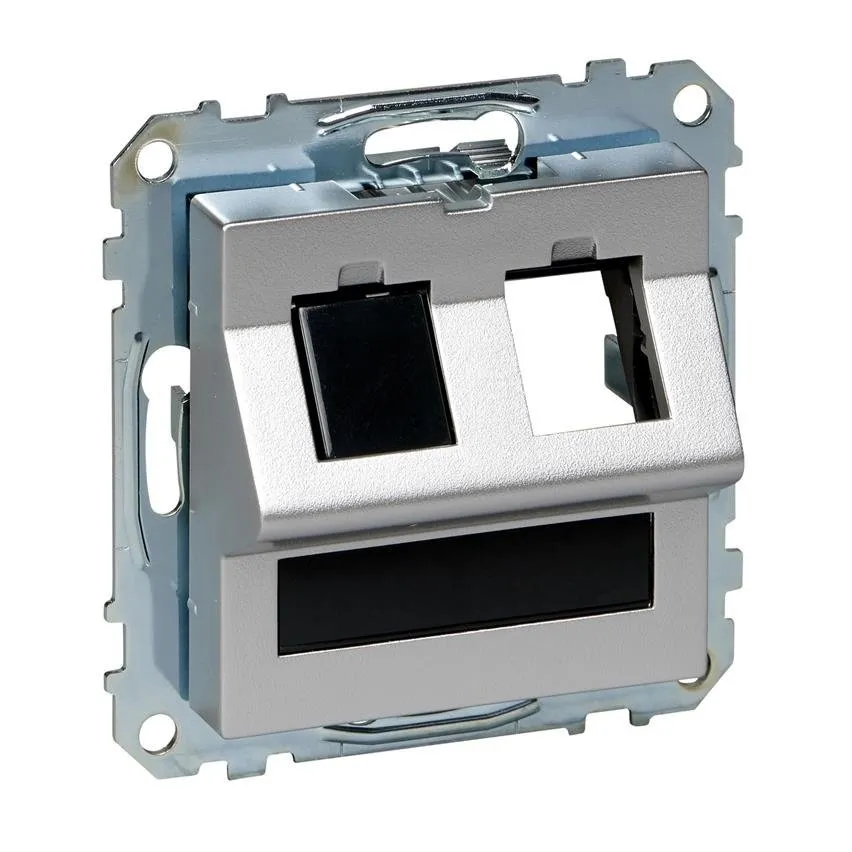 Doppel-Ausgang Schriftfeld und Staubschutzkappe für Netzwerkdose RJ45 Aluminium System M Schneider Merten MTN4568-0460/SCH