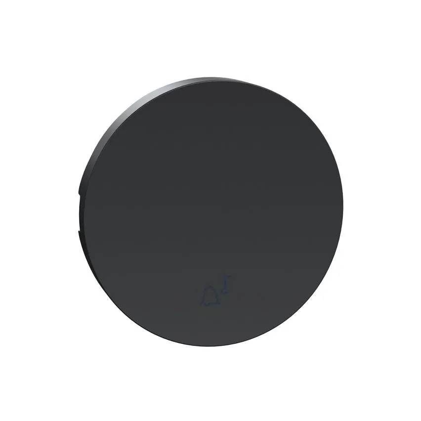 Einzeltastenfeld Anthrazit Odace Schneider S540604