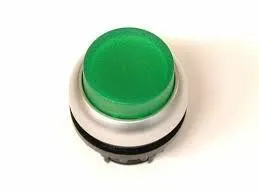 Grüner Drucktaster mit Hintergrundbeleuchtung mit Selbstrückstellung 216969 Eaton