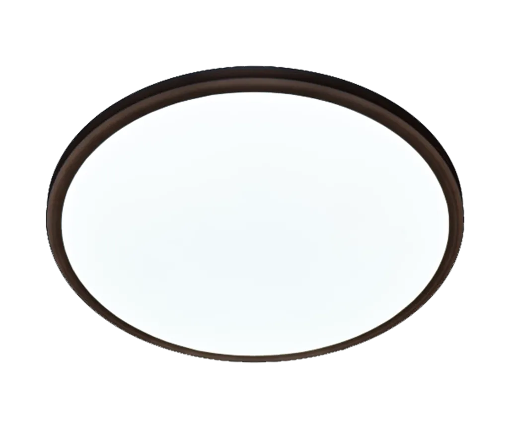 Plafon LED Arctic 24W 4000K IP54 Deckenleuchte schwarz