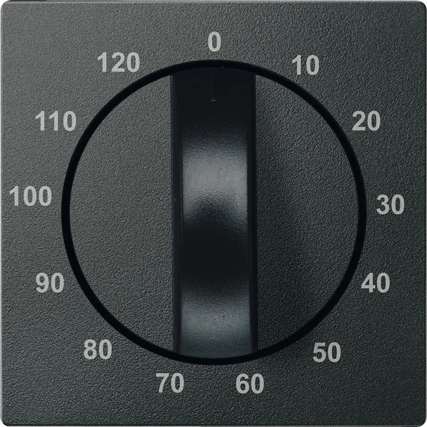 Zentralplatte für Zeitschaltereinsatz, 120 min Anthrazit System M Schneider Merten MTN539214