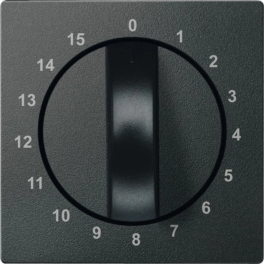 Zentralplatte für Zeitschaltereinsatz, 15 min Anthrazit System M Schneider Merten MTN539014