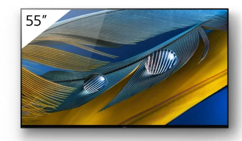 Sony FWD-55A80J 55" Display